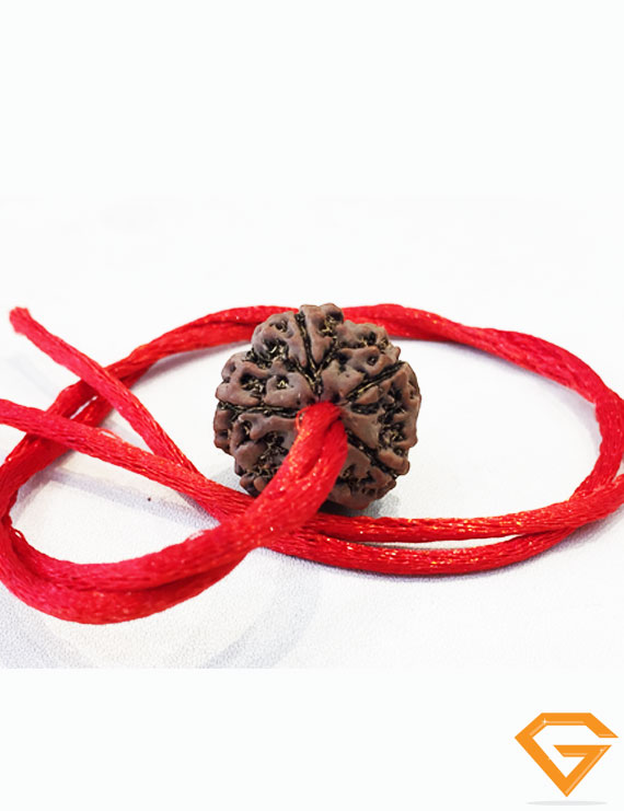 5 Mukhi Natural Certified Rudraksha Pendant Size- 21 mm